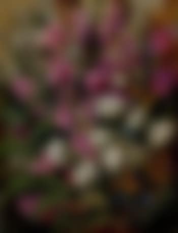 Wild heath (preview)
