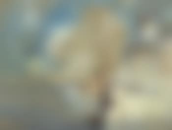 Venice (preview)