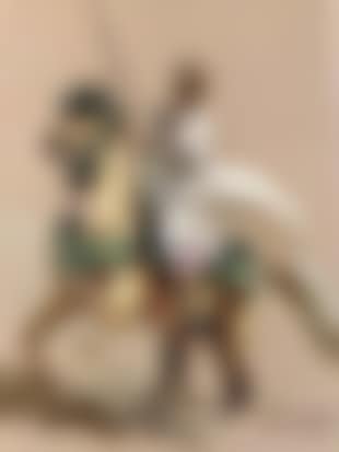 Cavalier marocain (preview)