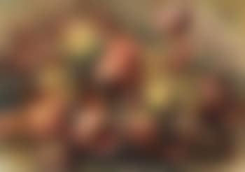 Bouquet de tulipes (preview)