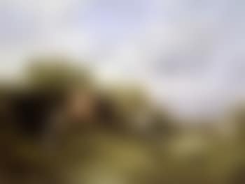 Cavaliers arabes (preview)