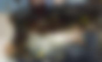 Tout (preview)