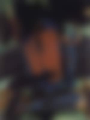 Untitled (preview)