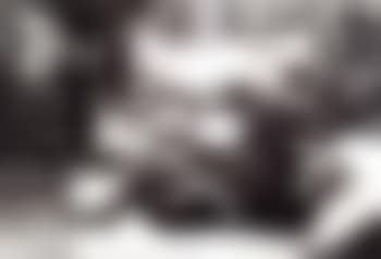 Countess Marta Marzotto in her garden (preview)