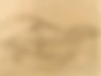 Landscape (preview)