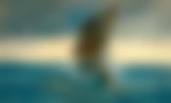 Shoreham smack (preview)