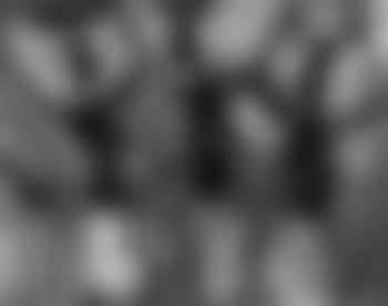 Africaines (preview)