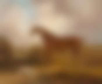 Chestnut hunter before a country house (preview)