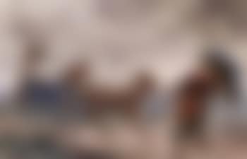 Country winds (preview)