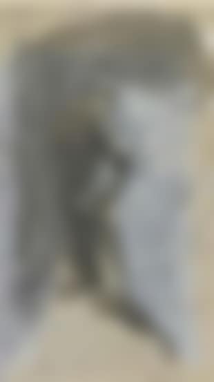 Modele (preview)
