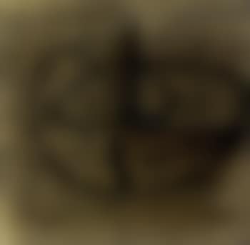 Linear motif (preview)