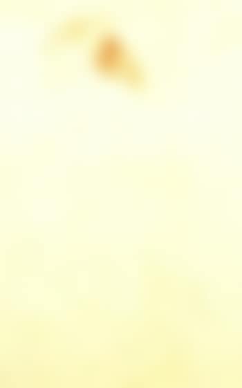 Female nude (preview)