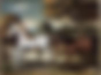Two horses in landscape (preview)