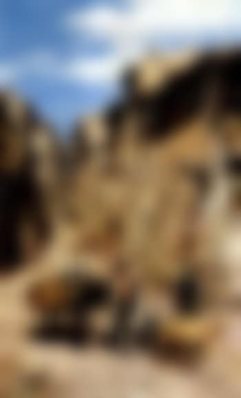 Village life (preview)