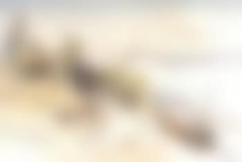 Figures on the shore near Edfu (preview)