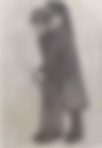 Two figures (preview)
