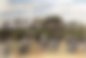 Procession Carnac (preview)