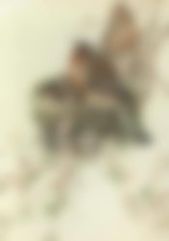 Pair of birds in their nest with their young (preview)