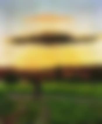 Evening light (preview)