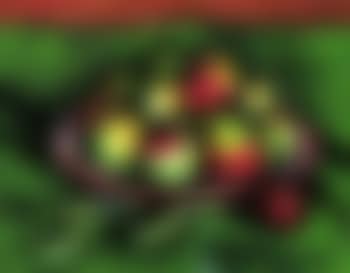 Still life with fruit (preview)