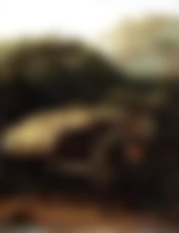 Mountain landscape with a laden donkey (preview)