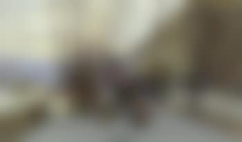 View of the Louvre on the banks of the Seine (preview)