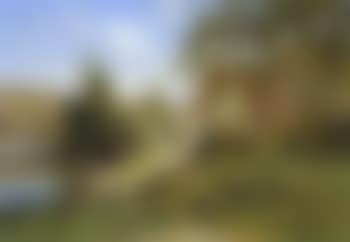 Sunny landscape with washerwomen (preview)