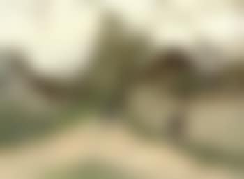 Facteur (preview)