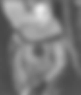 Le clown (preview)