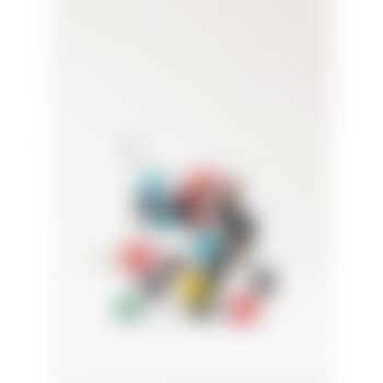 Working model for the molecular structure (preview)