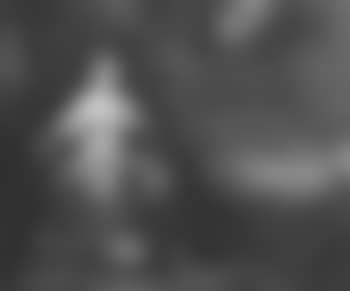 Sainte Anne (preview)