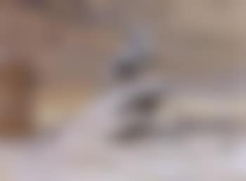 La statue de Pierre le Grand (preview)
