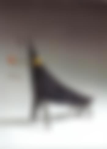 Taureau (preview)