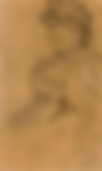 Old woman seated (preview)