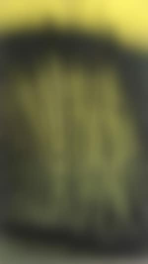 T1962 (preview)