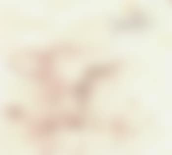 Etude de Christ (preview)