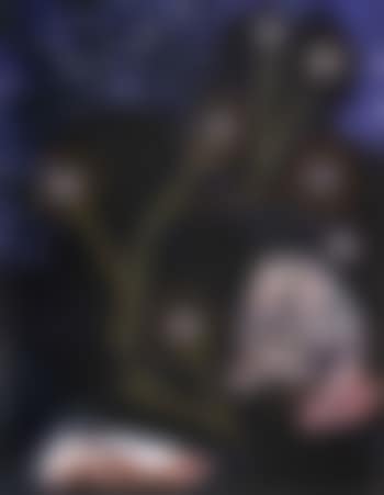 Flirt (preview)