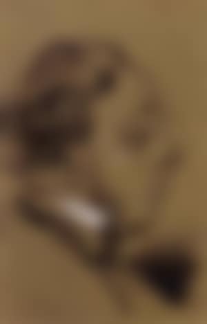 Dantan jeune de profil (preview)