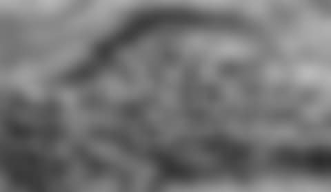 Group of figures (preview)