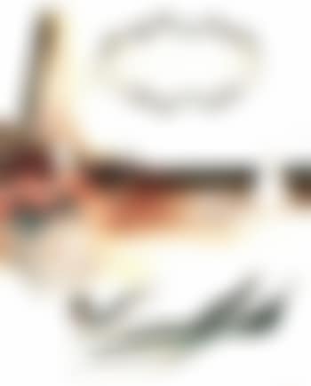 Untitled (preview)