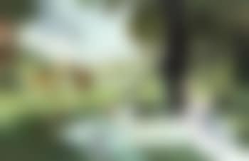 Picnic (preview)