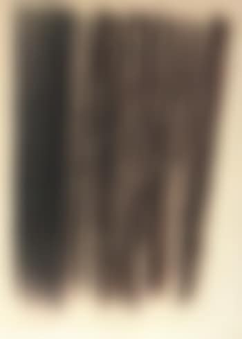 P 1960 - 255 (preview)