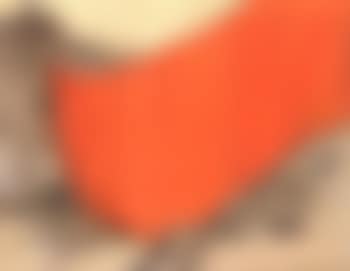 Valley Curtain - Project for Colorado (preview)