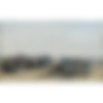 Scene de plage a Trouville (preview)