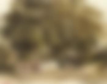 Drover and cattle in a wooded lane (preview)