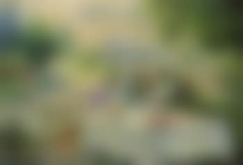 Teddy bear's picnic (preview)