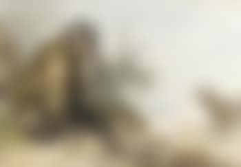 Monkey seated on a rock looking at a civet (preview)
