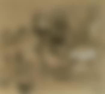 Toast (preview)