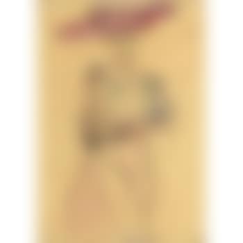 Portrait of Frau Dr. Horak. Standing figure (preview)