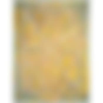 Study for inacheve (preview)